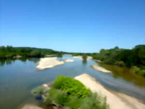 photo Entre fleuve et rivière, découverte de la vie sauvage