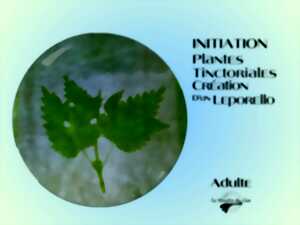 photo Atelier d’initiation aux plantes tinctoriales et à la création d'un livre leporello ou 
