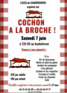 photo Cochon à la broche