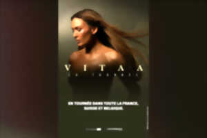 photo Concert - Vitaa
