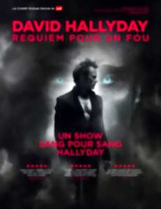 photo Concert - David Hallyday 