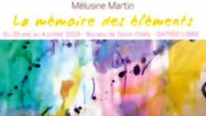 photo LA MÉMOIRE DES ÉLÉMENTS