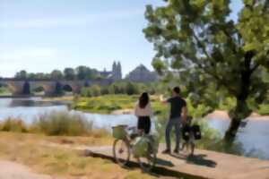 photo Visite Guidée à Vélo : De Tours à la Riche