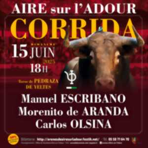 photo Corrida de la Féria d'Aire sur l'Adour