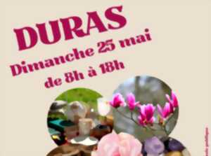 photo Marché aux fleurs, vide-greniers et artisanat