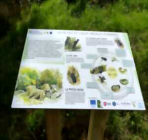 photo RDV nature 64, mosaïques des milieux