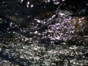 photo Fragments de la matière du monde - Limoges