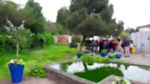 photo VISITE : LISE ET PIERRE À L’ORANGERIE