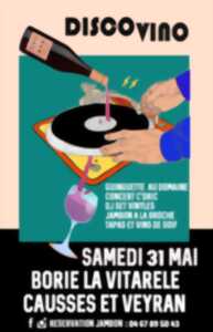 photo DISCO VINO - GUINGUETTE ET OPEN AIR
