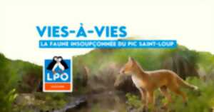 photo PROJECTION VIES-À-VIES