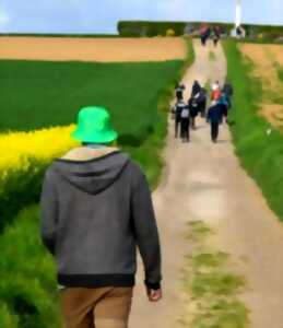 photo Marche gourmande du Gypsberg