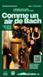 photo Ensemble L'Escadron Volant de la Reine : Comme un air de Bach