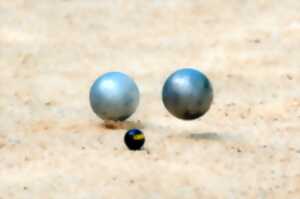 photo Concours de pétanque