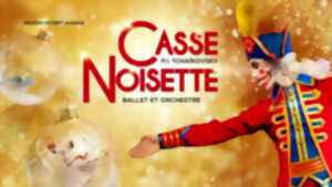 photo Casse Noisette
