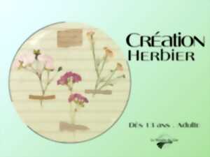 photo Création d’un herbier au Moulin du Got