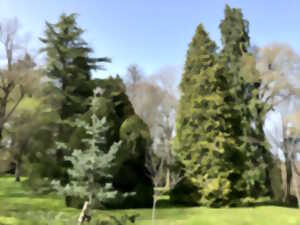 photo Découverte de l'arboretum du Château de Montautre