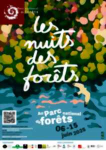 photo LES NUITS DES ETOILES : PROJECTION PLEIN AIR