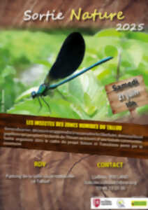 photo Sortie nature : les insectes des zones humides du Tallud