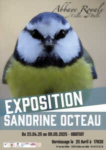 photo Exposition - Sandrine Octeau