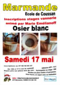 photo Stage de vannerie Osier blanc