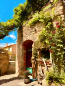 photo RANDO CITADINE ICI ROUSSILLON