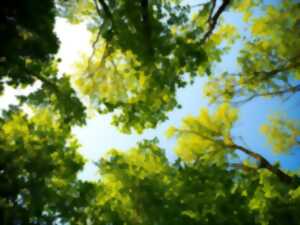 photo TROC AUX PLANTES