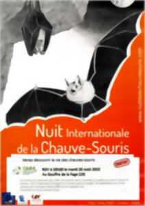 photo Nuit internationale de la chauve-souris