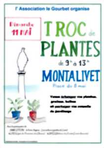 photo Troc-Plantes