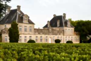 photo Un dimanche à la campagne au Château de Cérons