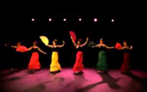 photo Festival andalou 2025 : Spectacle Sueño Flamenco