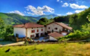 photo Visite de la ferme Ametzalde (fromage de brebis Ossau Irati)