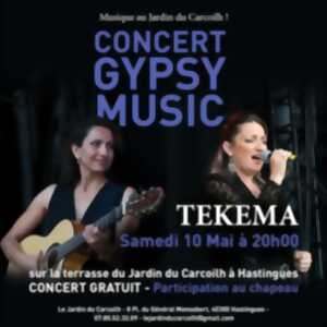 photo Concert Gypsy music