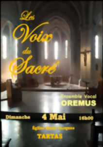 photo Les voix du sacré