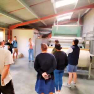 photo Visite d'entreprise : Laine et Compagnie