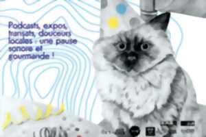 photo Transats & transistor - Limoges