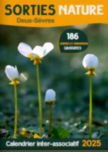photo Sortie nature : Les insectes des zones humides du Tallud