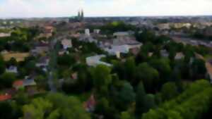 photo Promenade guidée « Nature en ville »
