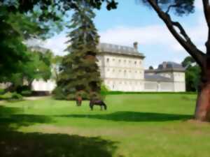 photo RENDEZ-VOUS AUX JARDINS - CHÂTEAU DE PECH REDON