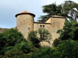 photo CHÂTEAU DE LANET - HOMMAGE À MAX SAVY EN SON CHÂTEAU