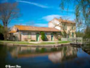 photo EXPOSITION À LA MAISON DES ARTS ET DE LA NATURE