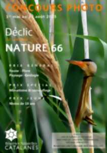 photo CONCOURS PHOTO DÉCLIC NATURE