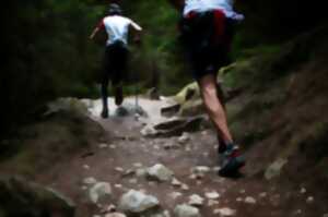 photo 5ème édition du Trail du Platane