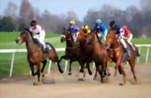 photo Courses de chevaux à l'hippodrome