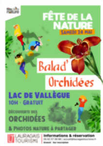 photo BALAD' ORCHIDÉES