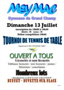 photo Tournoi de Tennis de Table ouvert à tous