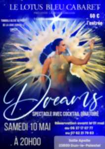 photo Dreams - spectacle cabaret