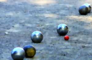 photo Concours de pétanque