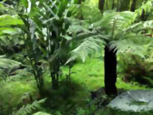 photo Rendez-vous aux jardins
