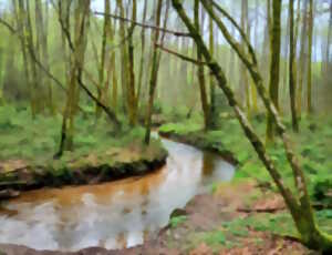 photo Sophro balade, osez une vraie pause Zen au cœur de la Nature !