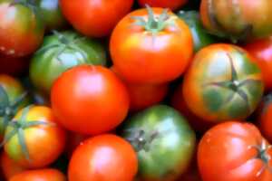 photo La tomate contre la dystonie
